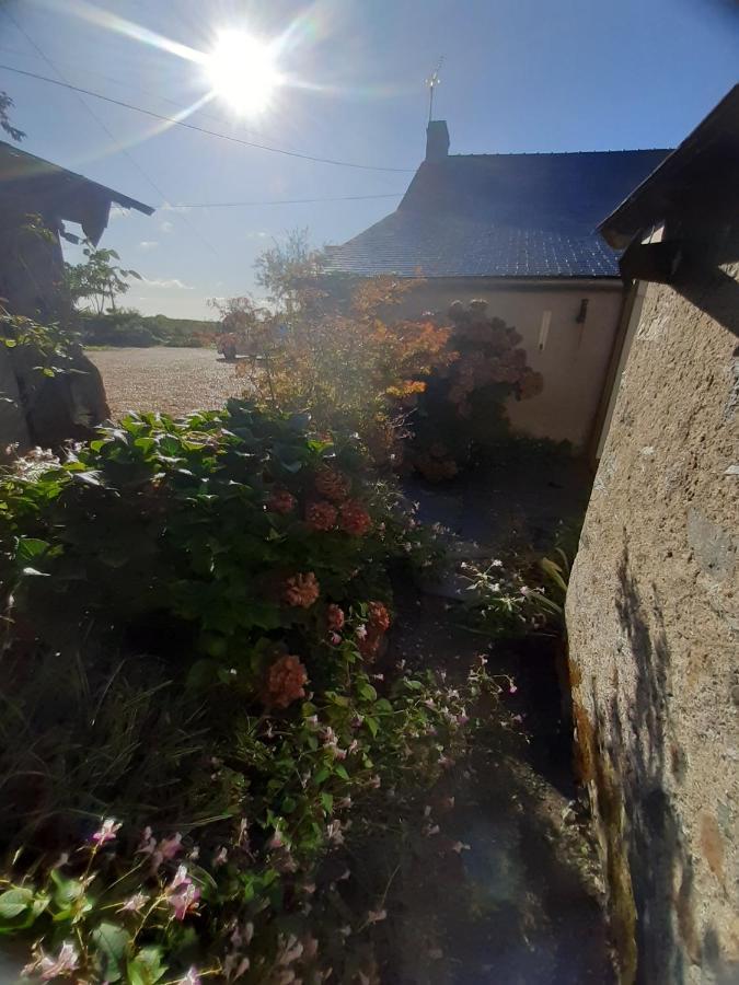 Maison A La Campagne - Piscine ボーリュ・シュル・レイヨン エクステリア 写真